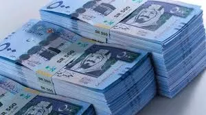 العمل في هذه المهنة البسيطة في السعودية يوفر لك دخل شهري 100 الف ريال