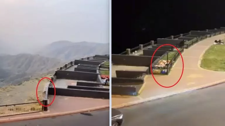 فيديو متداول لقرود تهاجم مصيفين أثناء نومهم في أبها