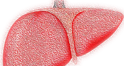 اعراض صادمة لتلف الكبد الصامت احذرها