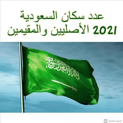 عدد سكان السعودية 2021 الأصليين والمقيمين “محدث” .. وإحصائيات التوزيع على المدن