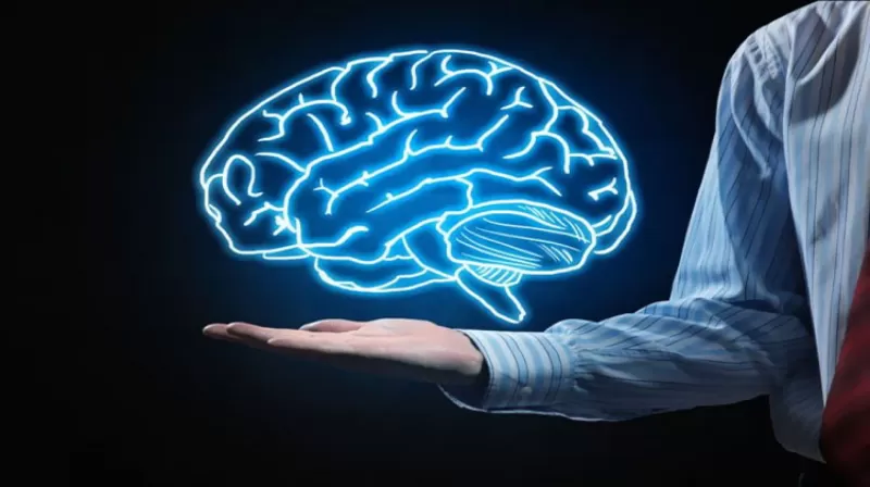 لتقوية الذكاء والحصول على ذاكرة فولاذية وإطالة العمر إليك بهذه الأطعمة الجبارة .. تعرف عليها ؟