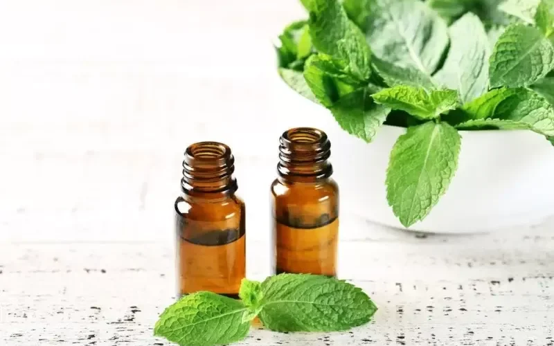 وصفة النعناع المعجزة الجبارة للتخلص من حب الشباب واثار حب الشباب