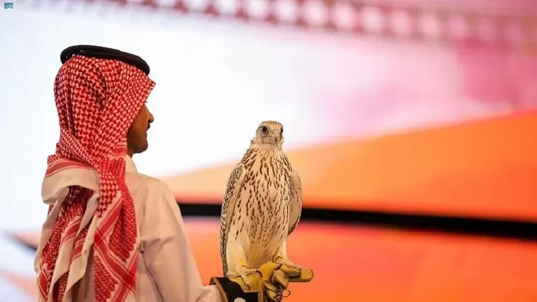 شاهد : بيع اغلى صقر سعودي في العالم بمبلغ خيالي ..لن تصدق كم قيمته