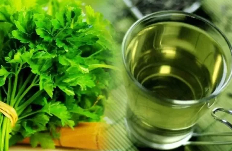 هذا ما يفعله شرب مغلي البقدونس في الكلى والمسالك البولية