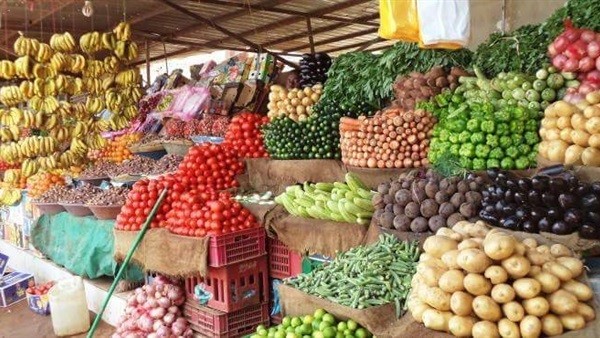 نبتة رخيصة الثمن لكن فوائدها أغلى من الذهب .. تحميك من السرطان وضغط الدم والزهايمر والخرف.. تناولها يوميًا