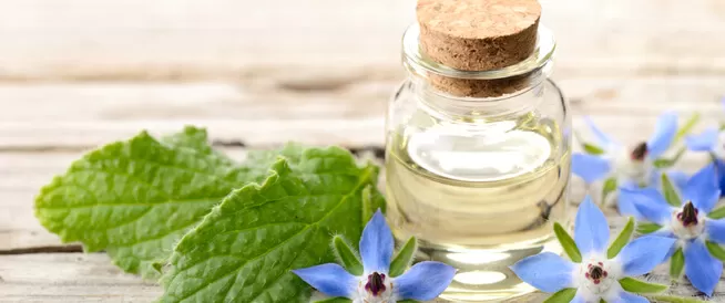 اراهنك انك لم تسمع من قبل عن زيت لسان الثور لكن هذه الفوائد له ستجعلك تبحث ولا تتخلى عنه بعد اليوم