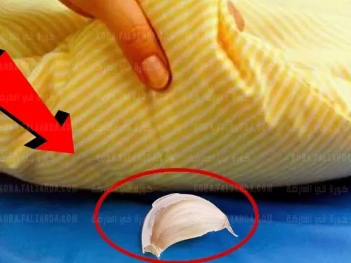 هذا ما سيحدث عندما تضع فص ثوم تحت “المخدة” يوميا قبل النوم لن تصدق ماذا سيحدث