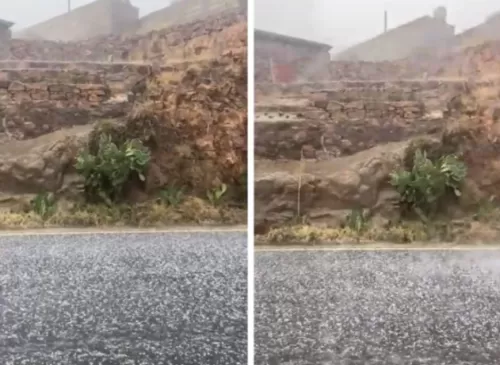 شاهد فيديو للثلج يغطي الطائف اليوم في ظاهرة غير مسبوقة