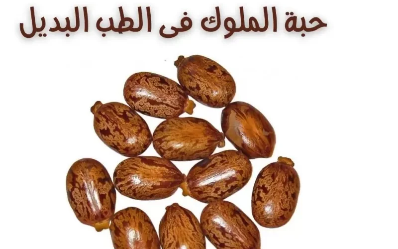 دواء طبيعي يجهلة الكثير من البشر .. هذه العشبة تعالج النقرس والملاريا وآلام المفاصل وانسداد الأمعاء والأرق والكثير من الأمراض .. (تعرف عليها)..!!