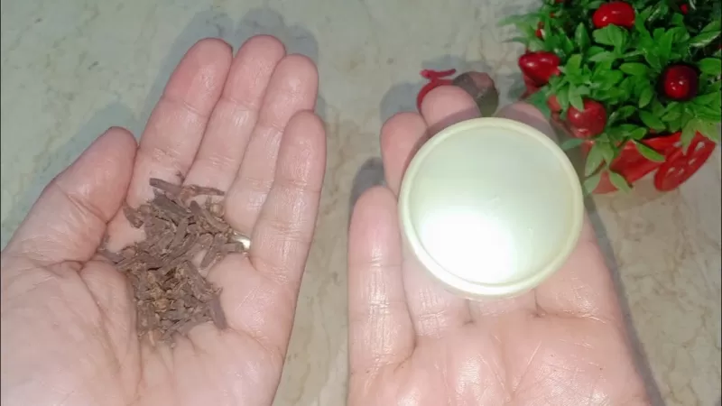 معجزة وكنز رباني في خلطة القرنفل مع الفزلين عند دهن هذه المناطق الحساسة كل ليلة قبل النوم