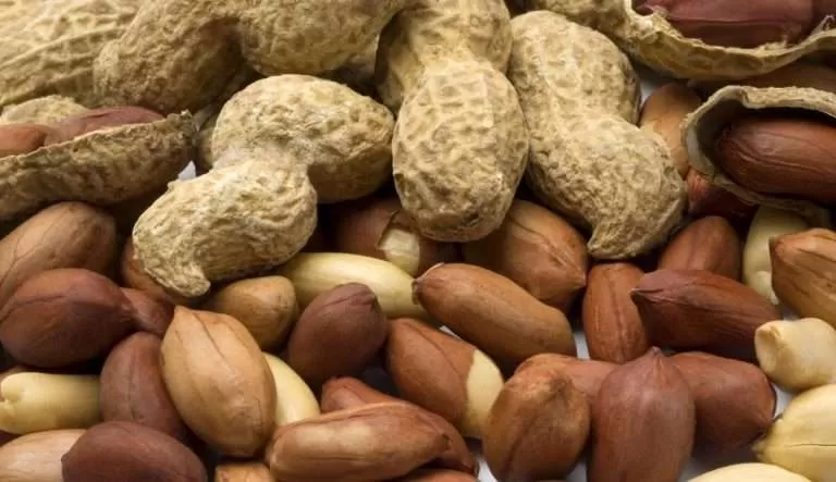 اغليه وستصدمك النتيجة.. الفول السوداني لعلاج الحساسية