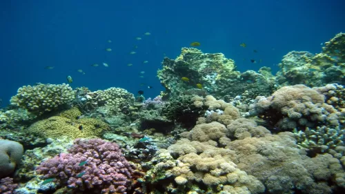 تفاصيل مشروع سوداني اسرائيلي غير مسبوق بعد التطبيع المجاني