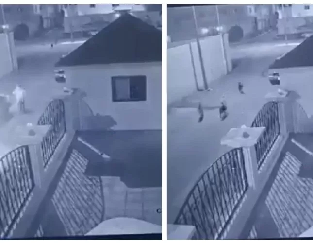 بالفيديو: صدمة بعد نشر مقطع لما فعلته كلاب ضالة بطفل في الطائف