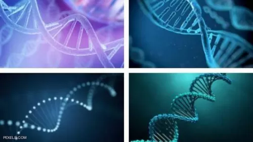 دراسة “تفجر مفاجأة” عن علاقة حمضنا النووي بأسلافنا المنقرضين