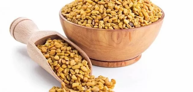 معجزة ربانية وكنز طبيعي من الفوائد في الحلبة لن يستغني عنها الرجال بعد اليوم