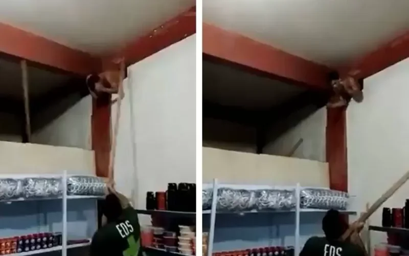 شاهد : نهاية غير متوقعة لـ “لص” ثقب فتحة في سقف محل بالسعودية لسرقته