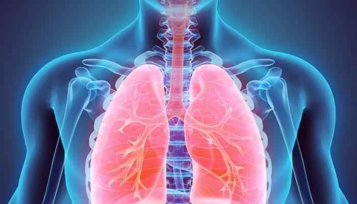 خمس نصائح للمدخنين لتنظيف الرئة من السموم