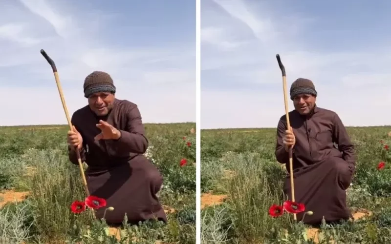 نهاية البرد في السعودية وعودة الدفء في هذه المناطق خلال ساعات