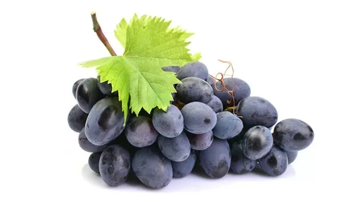 تعرف على الطريقة الصحيحة لحفظ العنب بدون ان يضمر ولا يتلف