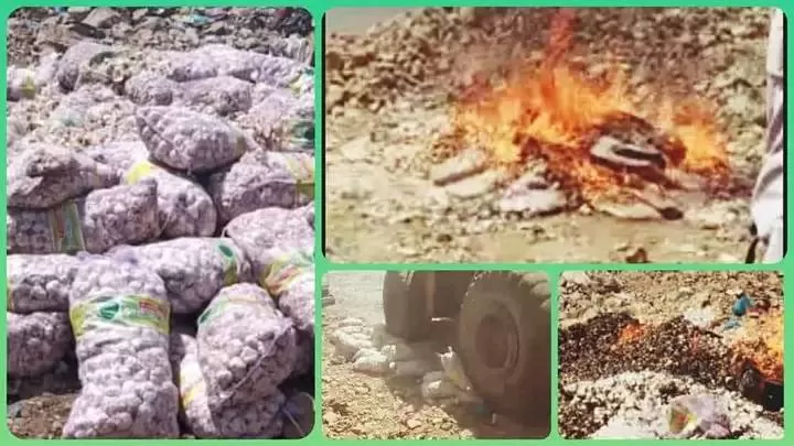 تعز. .إتلاف واحد طن من الثوم الفاسد