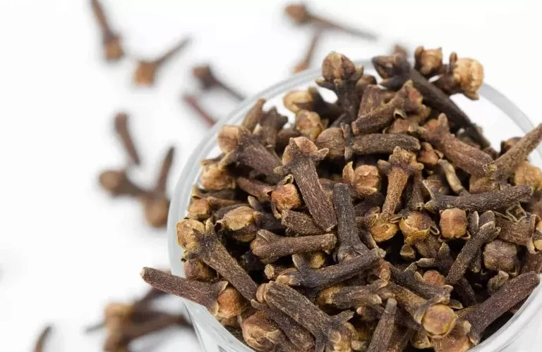 سر رباني لا تنتهي عجائبه عند تناول مسمارين من القرنفل كل يوم ومضغها