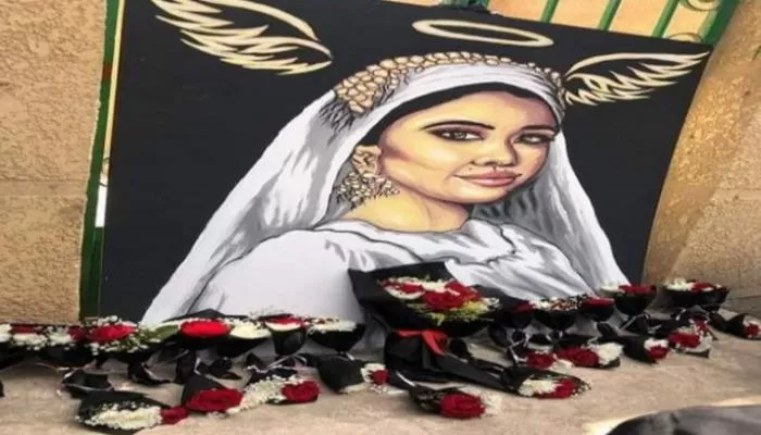 هكذا استطاع قاتل طالبة المنصورة كسب تعاطف المصريين بكلمتين في اول جلسات المحاكمة