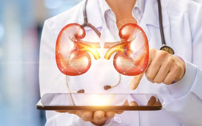 علاج التهاب الكلى بالأعشاب