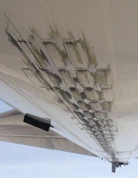 عرض الصورة على تويتر