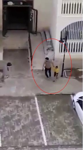 فيديو مُضمّن