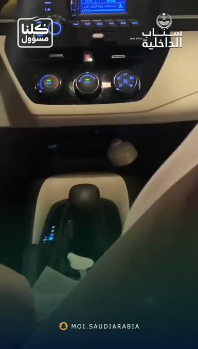 فيديو مُضمّن