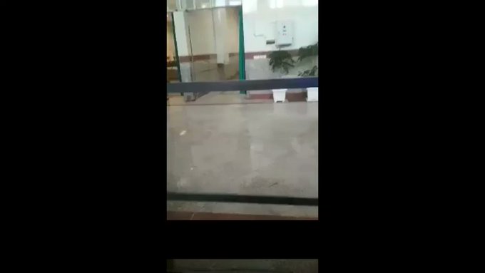 فيديو مُضمّن