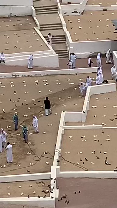 فيديو مُضمّن