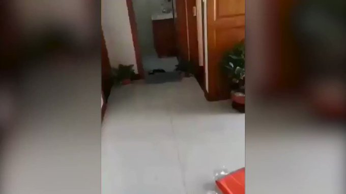 فيديو مُضمّن