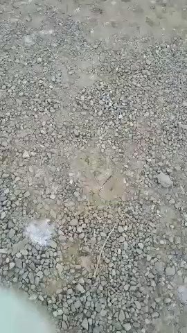 فيديو مُضمّن