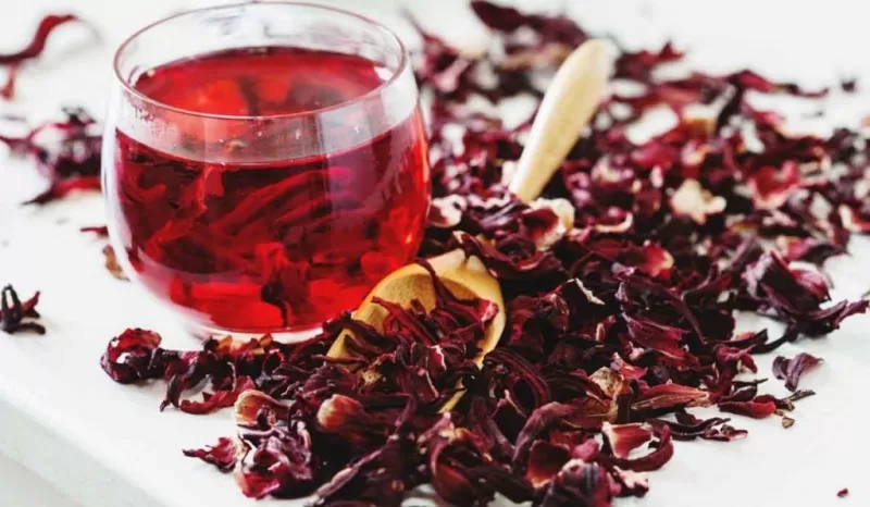 منقوع هذه العشبة سحر حقيقي يخلصك من مشاكل المسالك البولية ويحمي شرايين القلب من الانسداد تعرف عليه وعلى طريقة تحضيره الصحيحة