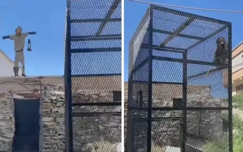 بالفيديو: سعودي يصطاد قرد البابون بطريقة مذهلة وهذا ما فعله به