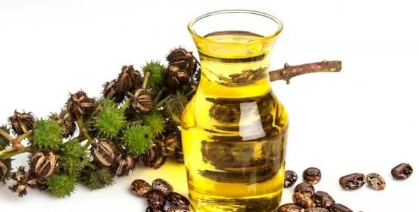 زيت الخروع هدية من الله ومعجزة ربانية لكل من يعاني من هذه المشاكل الصحية المزمنة