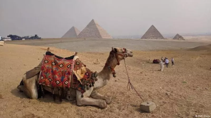التفاصيل الكاملة.. لما حدث لمواطن سعودي في منطقة الاهرامات في مصر وكسر ظهره