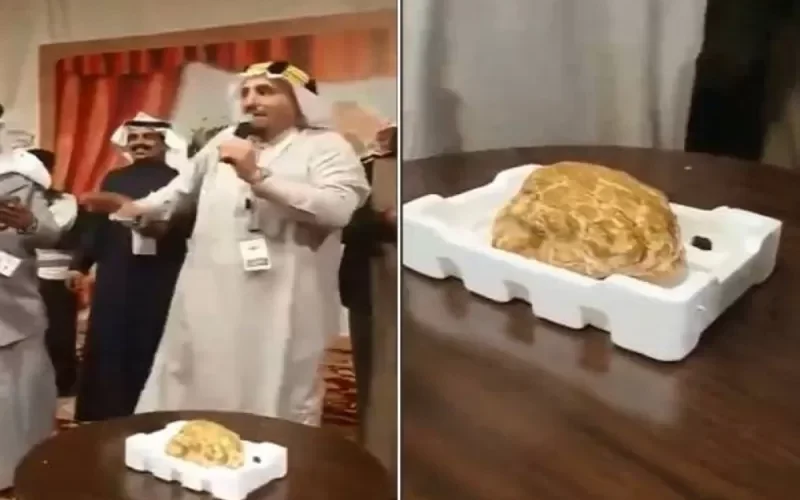 شاهد بالفيديو: الفقع في مدينة طريف السعودية بهذا المبلغ الضخم ..سعر صادم
