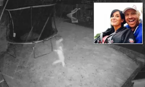 فيديو فاضح لزوجة تقتحم غرفة نوم طليقها لتصدم بما شاهدته