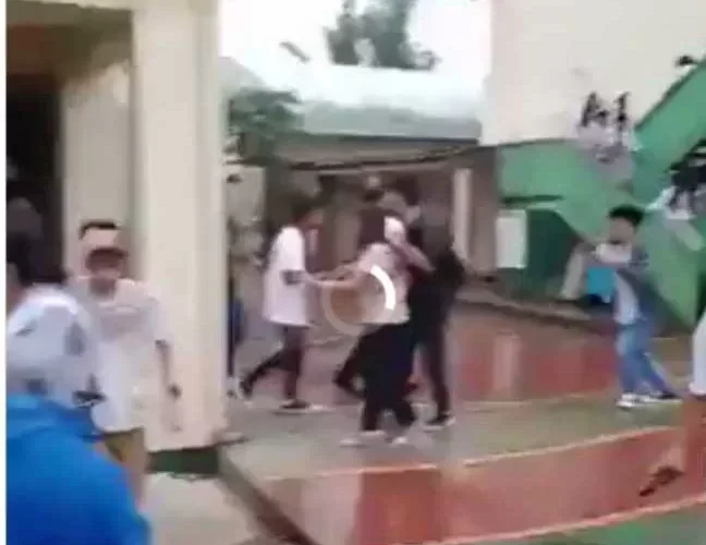 تنبؤات العالم الهولندي تحققت.. زلزال قوي يضرب هذه الدولة والناس يركضون في حالة هستيرية (أول فيديو)