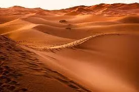 القصة الكاملة لسعودي دفن زوجته في الصحراء وبعد 9 شهور عادت لتنتقم منه بطريقة مروعة