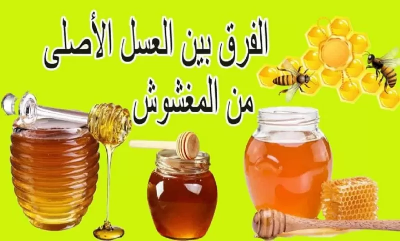 ما هو الفرق بين انواع العسل وما هو افضل انواع العسل وكيف تكشف العسل المغشوش بطريقة بسيطة بدون جهاز فحص العسل
