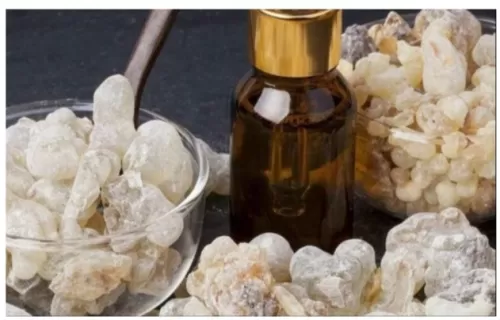 يفعل المعجزات.. هذا مايحدث للجسم عند شرب منقوع لبان الذكر على الريق