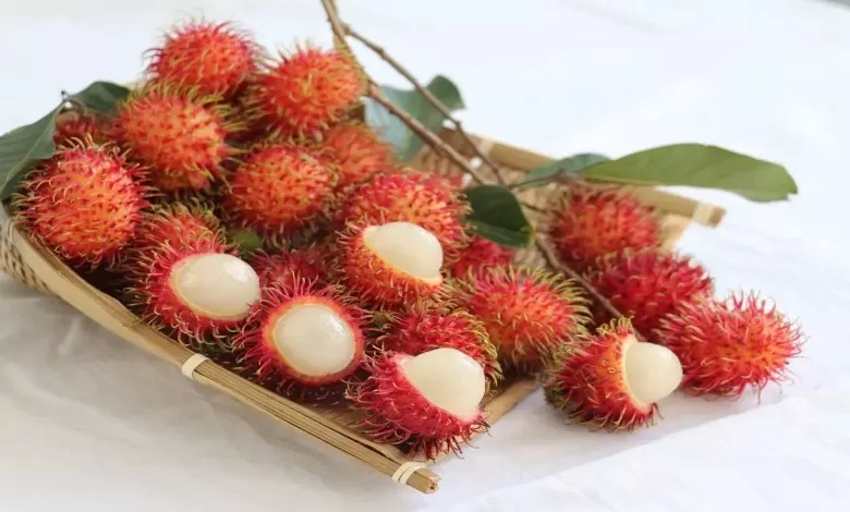 هذه الفاكهة بذورها تسبب الغيبوبة وقشرتها سم قاتل لكن فوائدها لا تخطر ببال