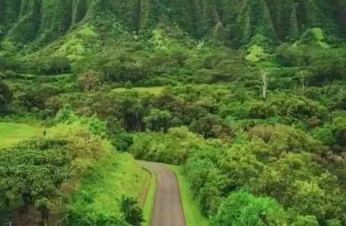 قطعة من الجنة تظهر في اليمن