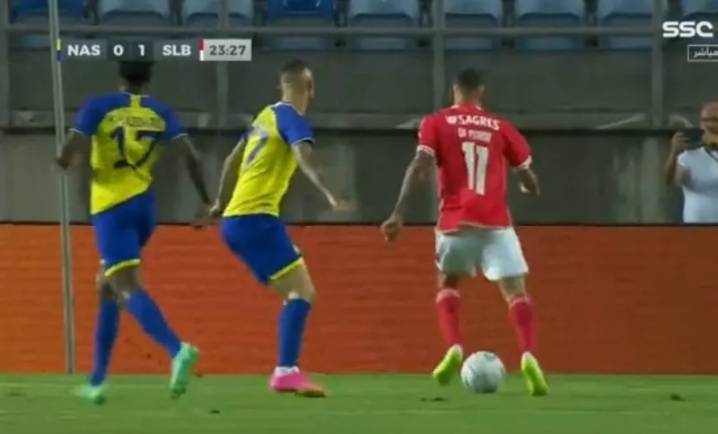 شاهد: بينفيكا يمطر النصر برباعية نظيفة ورونالدو في ذهول من تصرف هذا الطفل في أرض الملعب