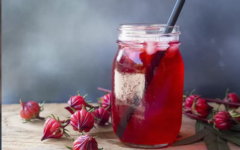 الكركديه الساخن ام البارد ايهما افضل وكيف يغيير كوب منه يومياً حياتك تماماً