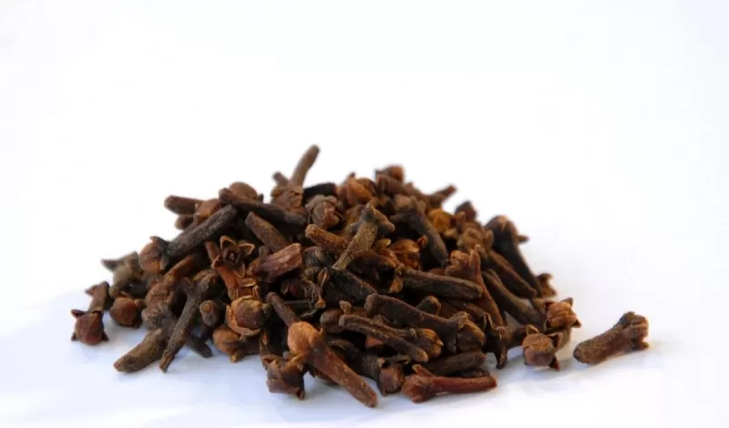 انه السحر يحدث امام عينيك وكل ما عليك هو وضع حبات من القرنفل تحت لسانك كل مساء