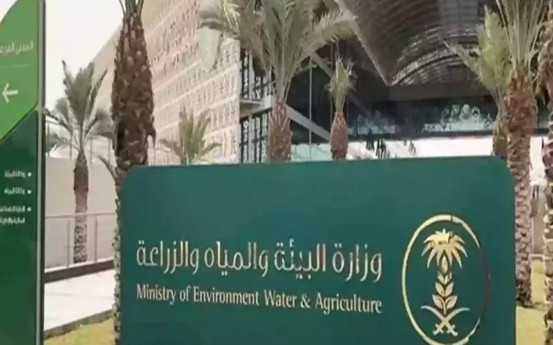 السعودية: جميع الوافدين العاملين في هذه المهن امامهم 30 يوم لمغادرة المملكة